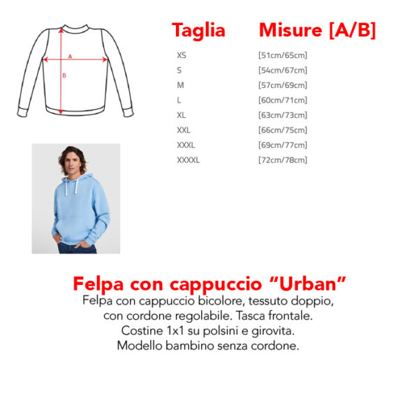 OFFERTA: 10 Felpe con cappuccio + Stampa + spedizione gratis - immagine 2